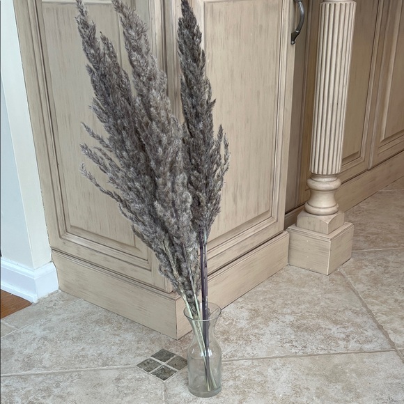 Other - Natural Pampas Grass Gray Set of 5 Stems, Short Length 24"